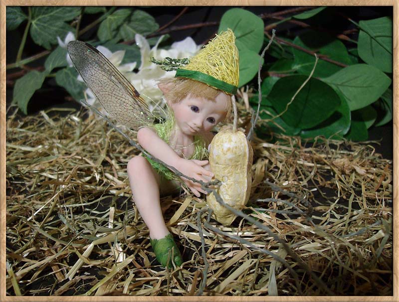 Baby Fairie Peo & Nut